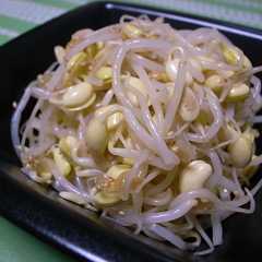 あっさり味の豆もやしナムル-レシピのメイン写真