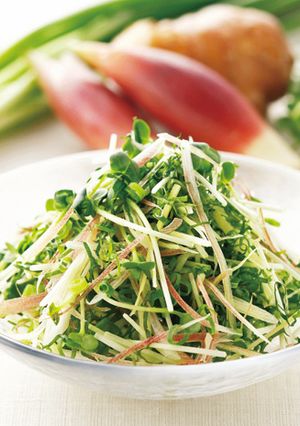 和の香味薬味-レシピのメイン写真