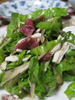 ごぼうと鶏ささ身のサラダ-レシピのメイン写真