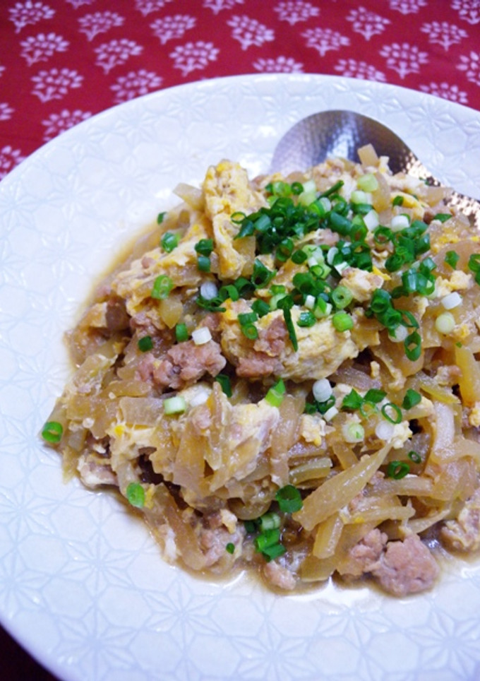 おふくろの味★はやと瓜と挽肉の炒め煮-レシピのメイン写真