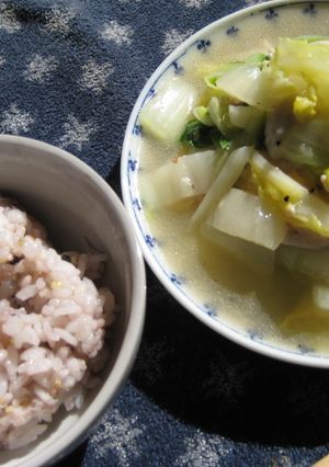白菜ととり肉の塩炒め☆-レシピのメイン写真