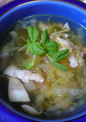 豆苗と白菜のヘルシースープ☆-レシピのメイン写真