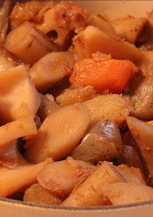 たっぷり根菜のあっさりおかか煮-レシピのメイン写真