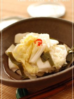 白菜の浅漬け-レシピのメイン写真