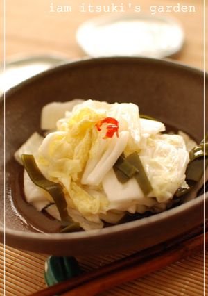白菜の浅漬け-レシピのメイン写真