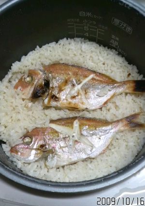 超簡単!ちょっぴり豪華! 鯛めし-レシピのメイン写真