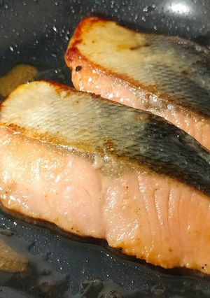 【試行錯誤の】鮭の西京焼き-レシピのメイン写真
