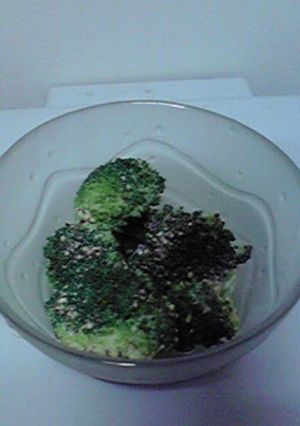パクパクいける！ブロッコリー-レシピのメイン写真