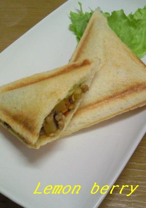 野菜たっぷり☆ひき肉そぼろのホットサンド-レシピのメイン写真