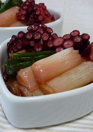 長ネギとタコの甘旨煮-レシピのメイン写真