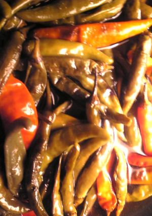 万願寺唐辛子の炒め煮-レシピのメイン写真