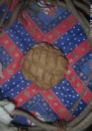 全粒粉黒糖メロンパンINおから-レシピのメイン写真