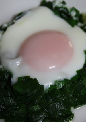 朝ご飯に　にらの上に目玉焼き-レシピのメイン写真