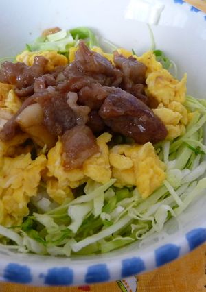 豚肉とれんこんのきんぴら丼-レシピのメイン写真