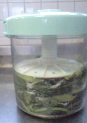 自家製　からし菜の【漬物】白菜でもOK！-レシピのメイン写真