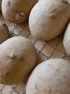 バナナくるみパン-レシピのメイン写真