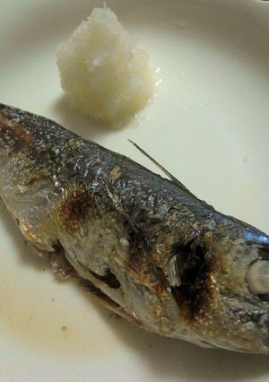 あじの塩焼き～外はパリッと中はふっくら～-レシピのメイン写真