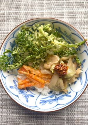 ニンジンと搾菜のどんぶり-レシピのメイン写真