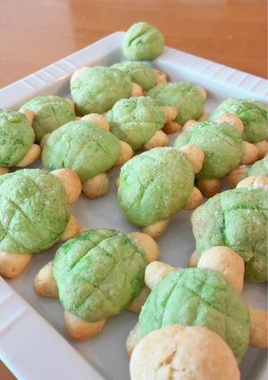 亀メロンパンクッキー-レシピのメイン写真