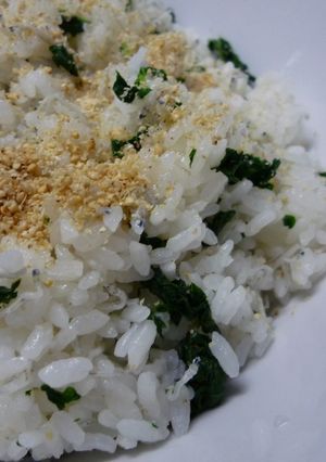 菜めし（だいこん）-レシピのメイン写真