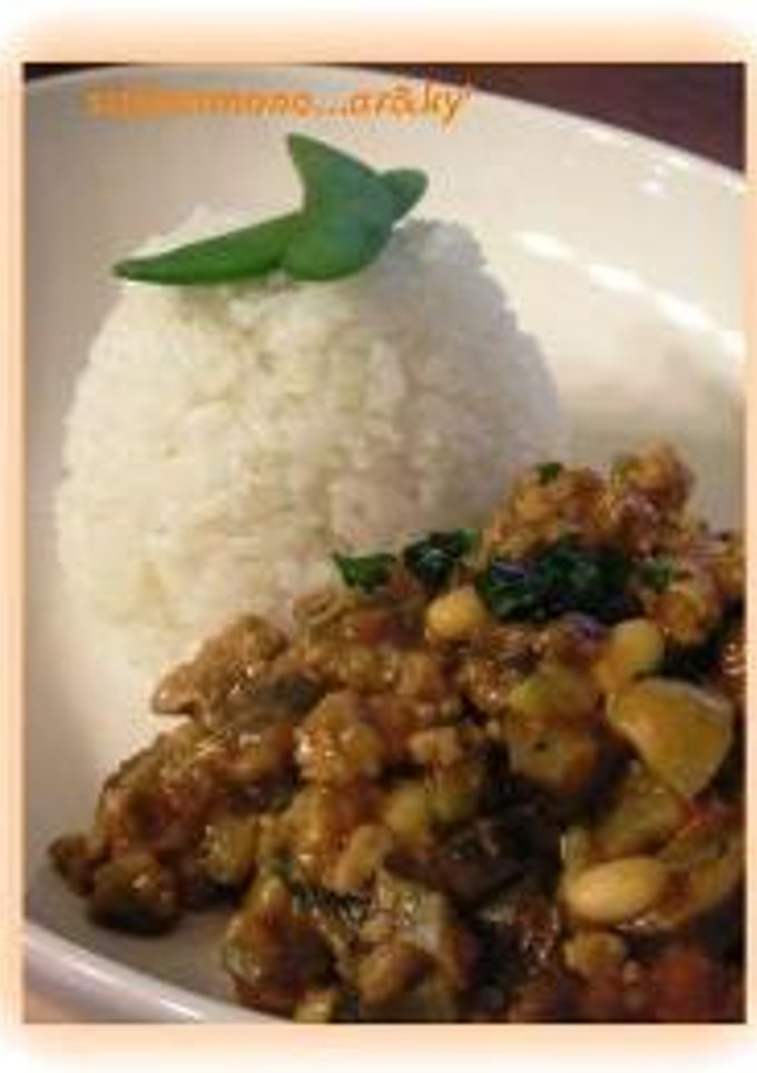 簡単大豆入り・キーマカレー風-レシピのメイン写真