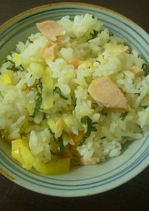 混ぜるだけ！調味料なしのさっぱり鮭ご飯-レシピのメイン写真