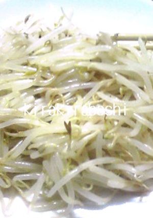 簡単♪美味しい♪やみつき♪もやしナムル風-レシピのメイン写真