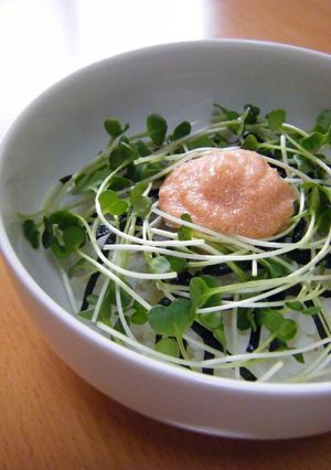 明太マヨ丼-レシピのメイン写真