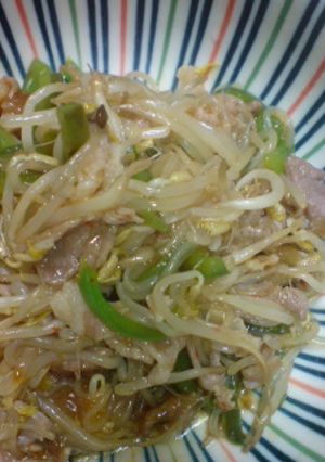 もやしと糸こんにゃく入り☆青椒肉絲風-レシピのメイン写真