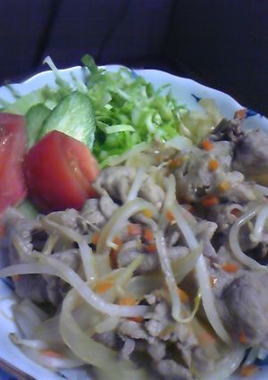 豚肉とシャキシャキもやしのすっぱ煮-レシピのメイン写真