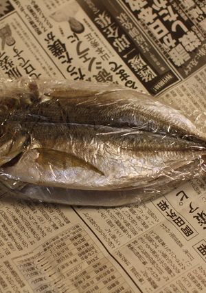 脂臭くならない　干物の冷凍保存-レシピのメイン写真