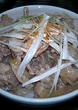 タカラ本みりんde汁汁豚丼-レシピのメイン写真