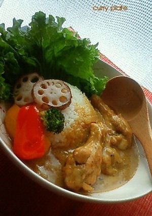 皆大好き☆手羽元のココナッツミルクカレー-レシピのメイン写真