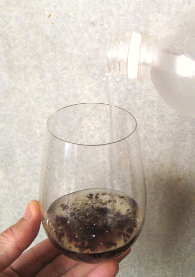 ぶどうの皮の水出し-レシピのメイン写真