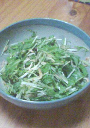水菜の即席浅漬け-レシピのメイン写真