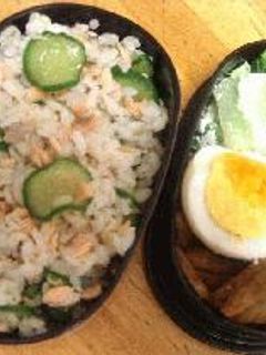 鮭ときゅうりの混ぜ寿司弁当-レシピのメイン写真