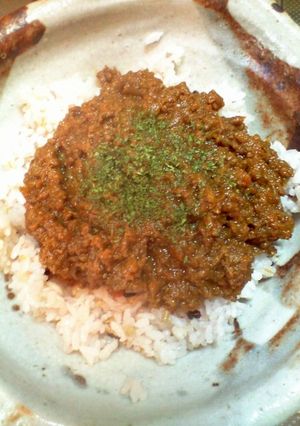 母の味~❤ウマウマドライカレー-レシピのメイン写真