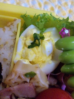 可愛い☆お弁当にカレー風味の卵カップ-レシピのメイン写真