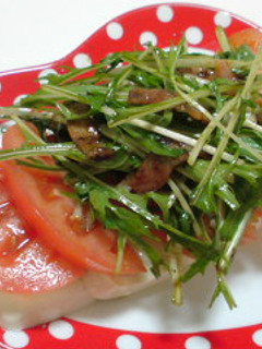 彩☆トマトと水菜の豆腐サラダ-レシピのメイン写真