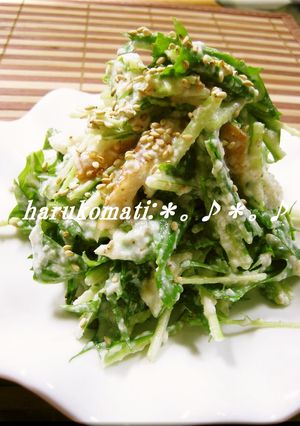 お豆腐で水菜が美味しいサラダ-レシピのメイン写真