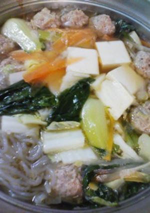 ごぼうとチンゲン菜の肉団子鍋-レシピのメイン写真