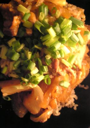 豚薄切り肉と玉葱のコチュジャン豚丼-レシピのメイン写真