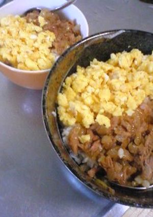 甘辛ツナそぼろと卵の二色丼-レシピのメイン写真