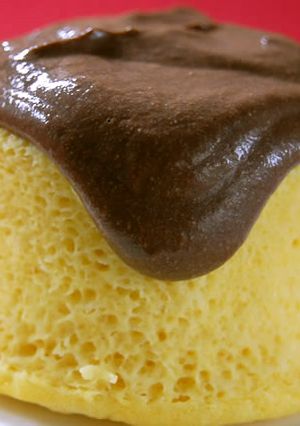 大豆ケーキの豆腐チョコソースかけ-レシピのメイン写真