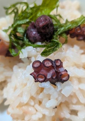 白だしでたこ飯-レシピのメイン写真