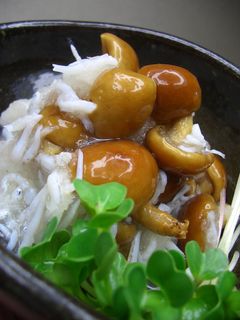 なめことしらすの大根おろし和え-レシピのメイン写真