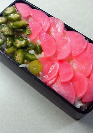 ラディッシュの甘酢漬け-レシピのメイン写真