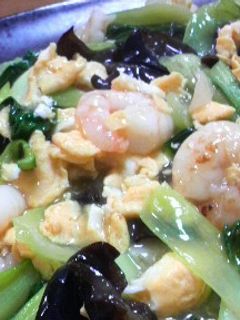 海老とチンゲン菜の中華炒め-レシピのメイン写真