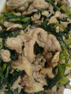 春菊と豚肉のオイスター炒め-レシピのメイン写真