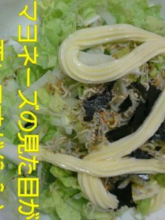 白菜のシャキシャキサラダ-レシピのメイン写真
